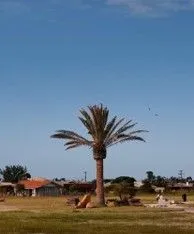 Terreno em Condomínio para venda no bairro  em Arroio do Sal