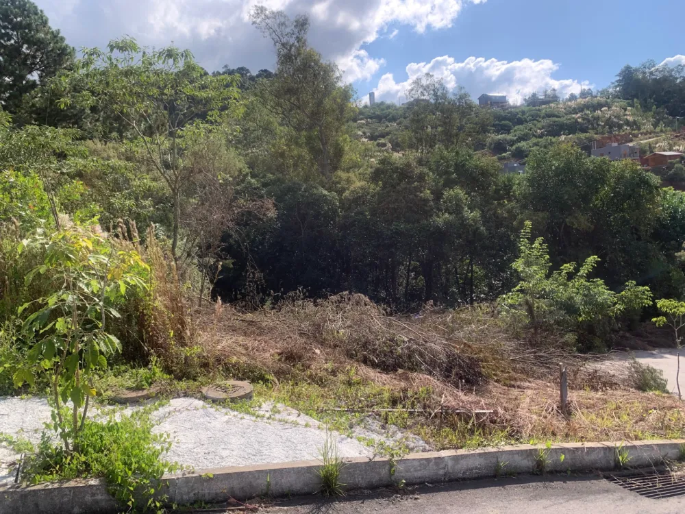 Lote para venda no bairro Bairro Fátima em Bento Gonçalves