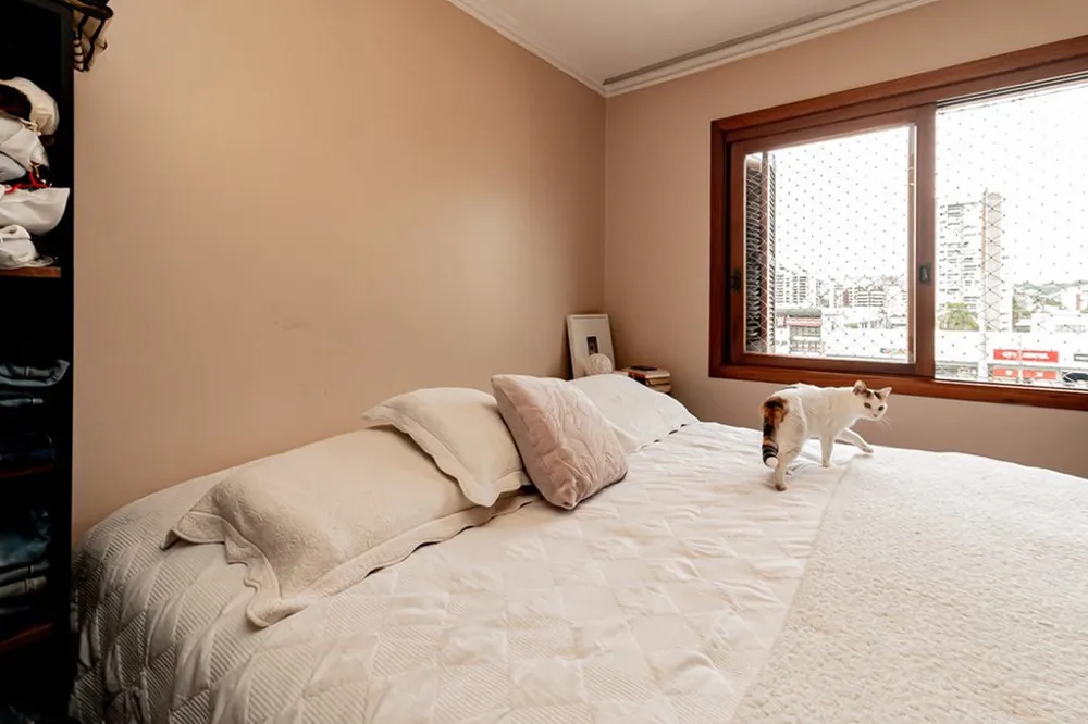 Apartamento para venda no bairro Menino Deus em Porto Alegre