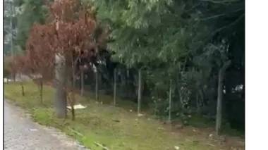 Lote para venda no bairro Centro em Canela