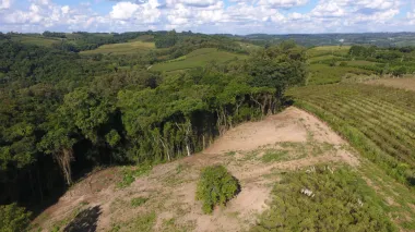 Terreno Padrão para venda no bairro Barracão em Bento Gonçalves